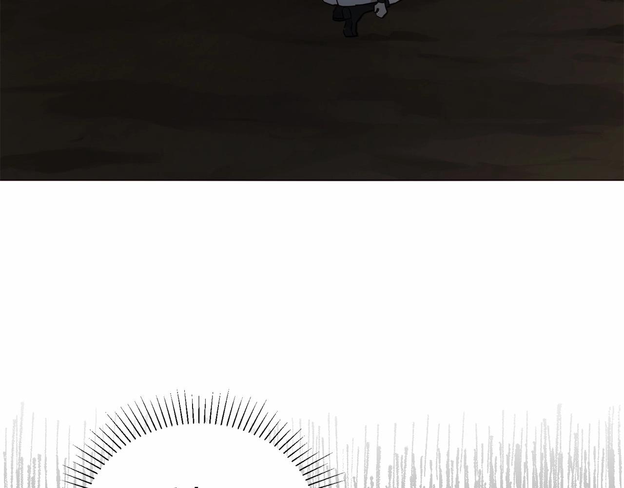 第 141 页