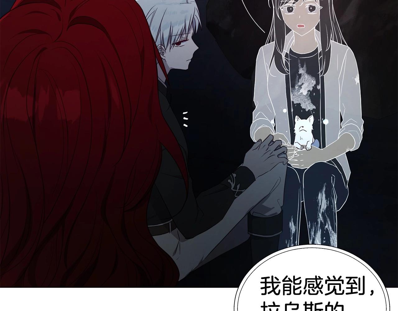 第 111 页