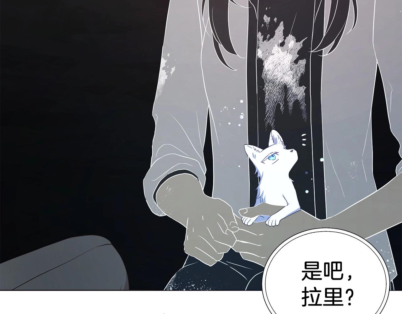 第 113 页