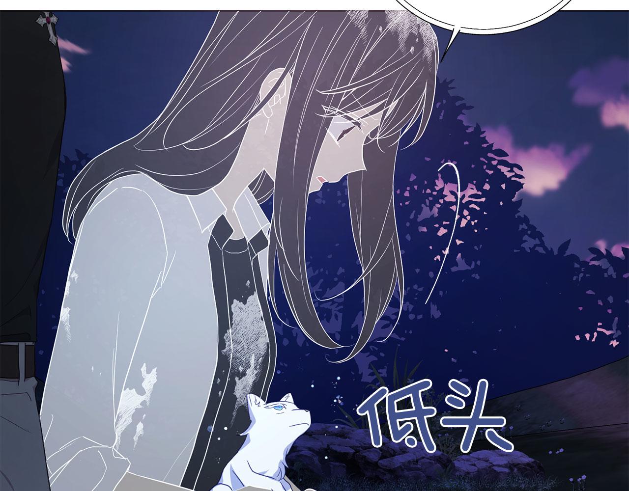 第 113 页