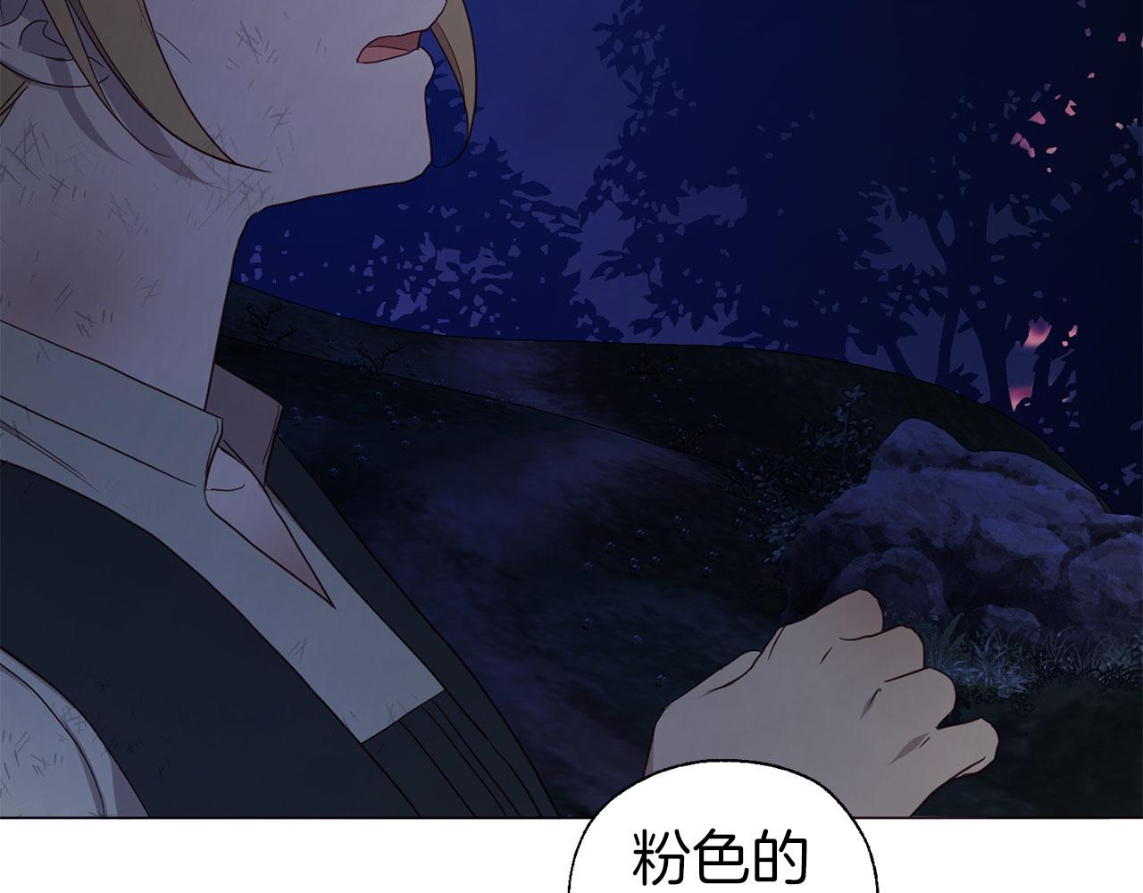 第 127 页