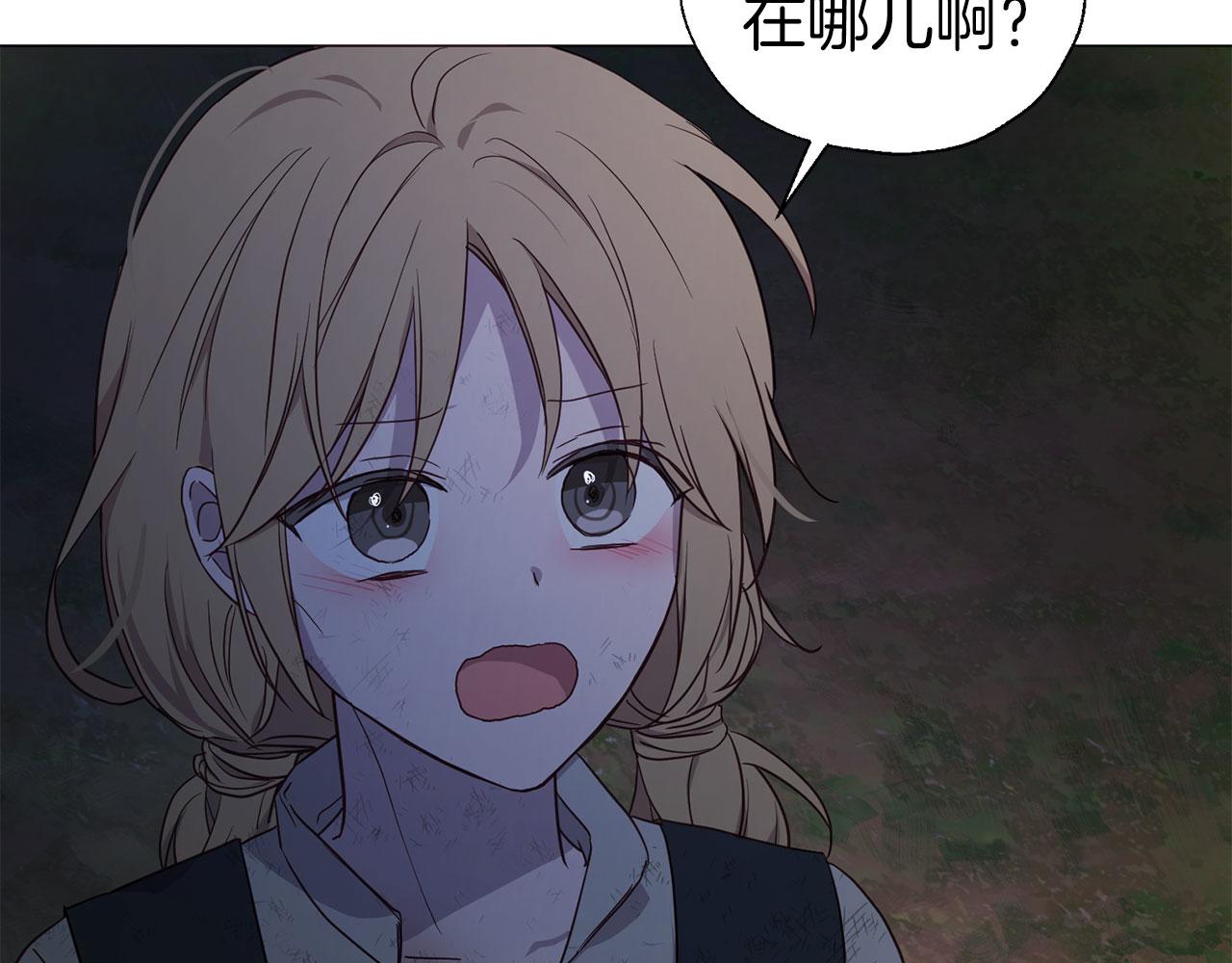 第 135 页