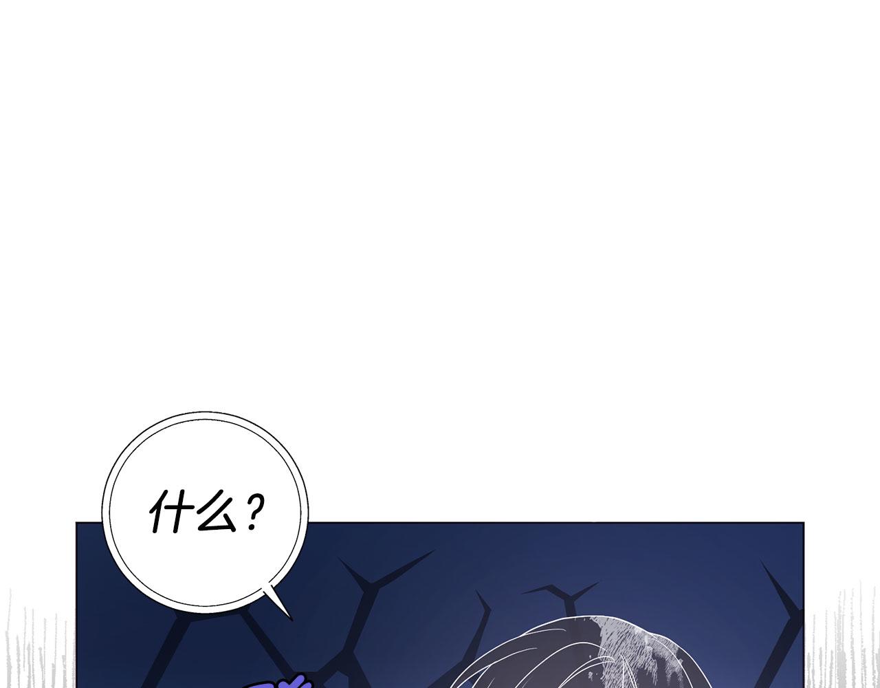 第 113 页