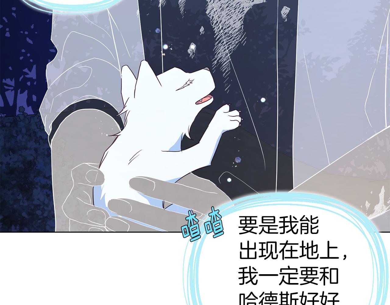 第 156 页