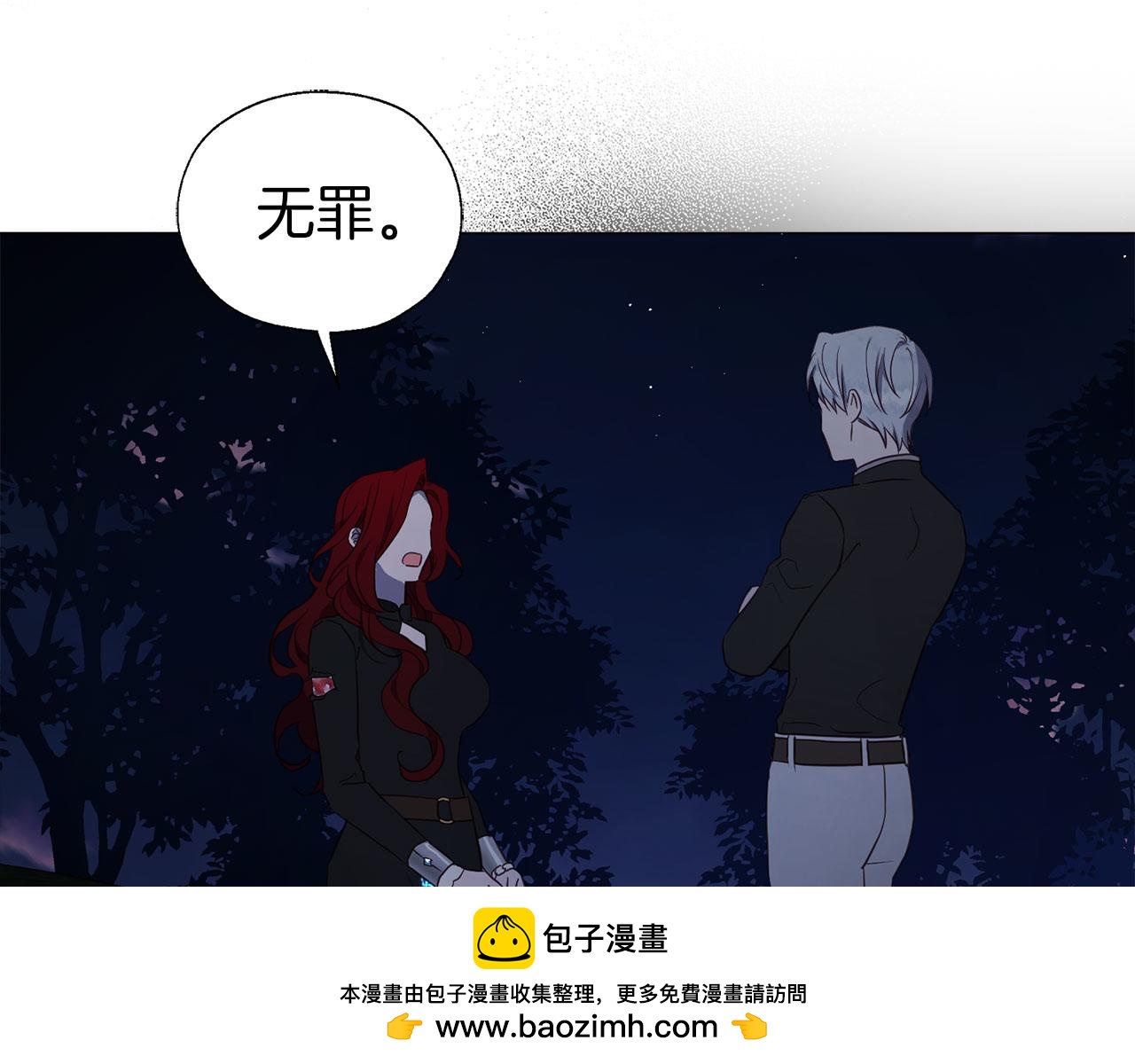 第 100 页