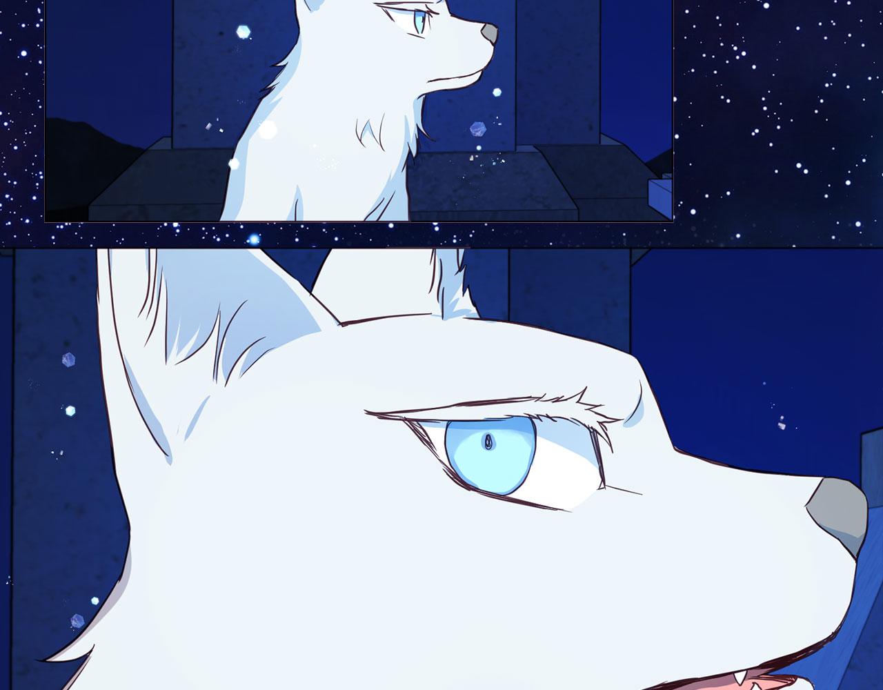 第 74 页