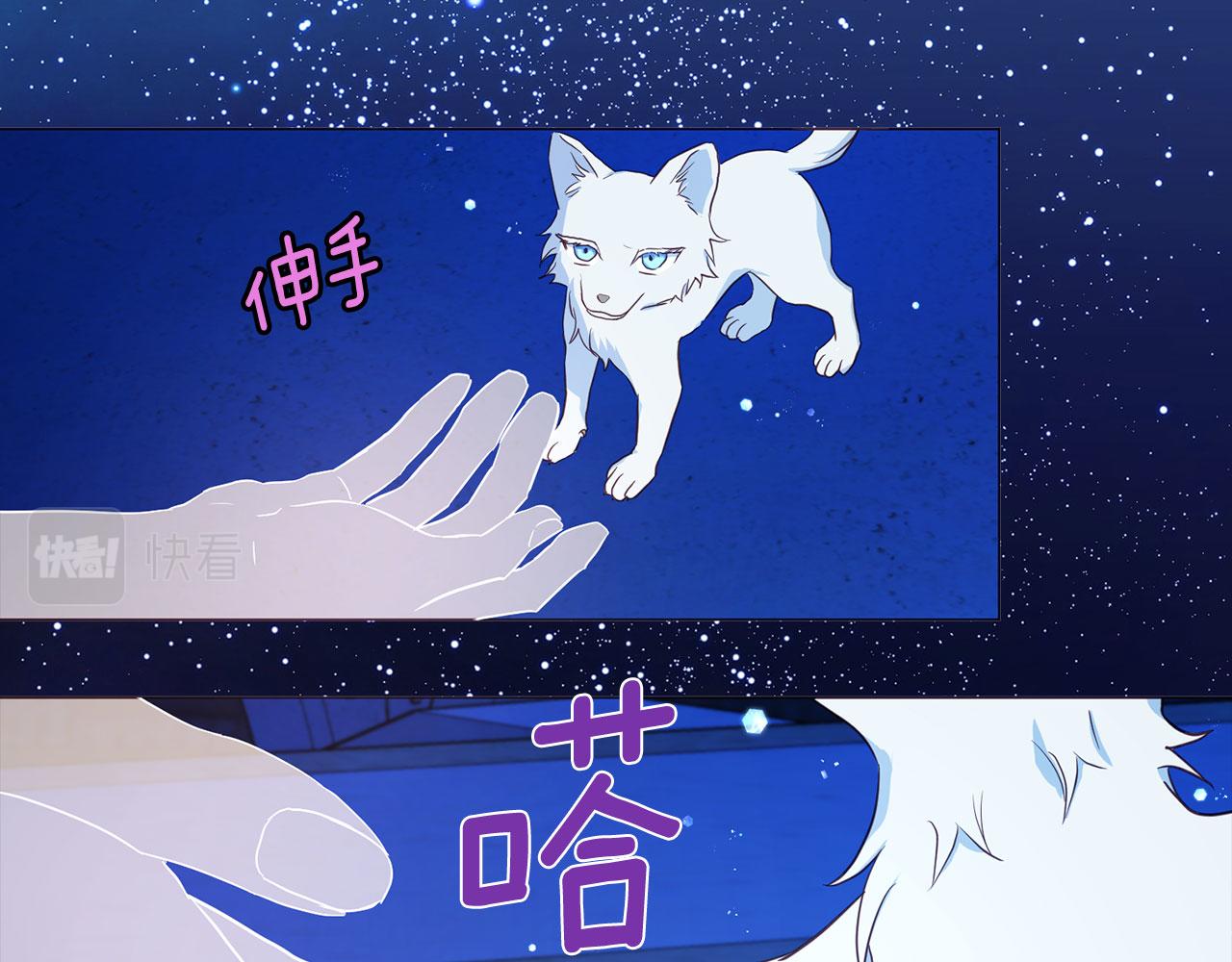 第 79 页