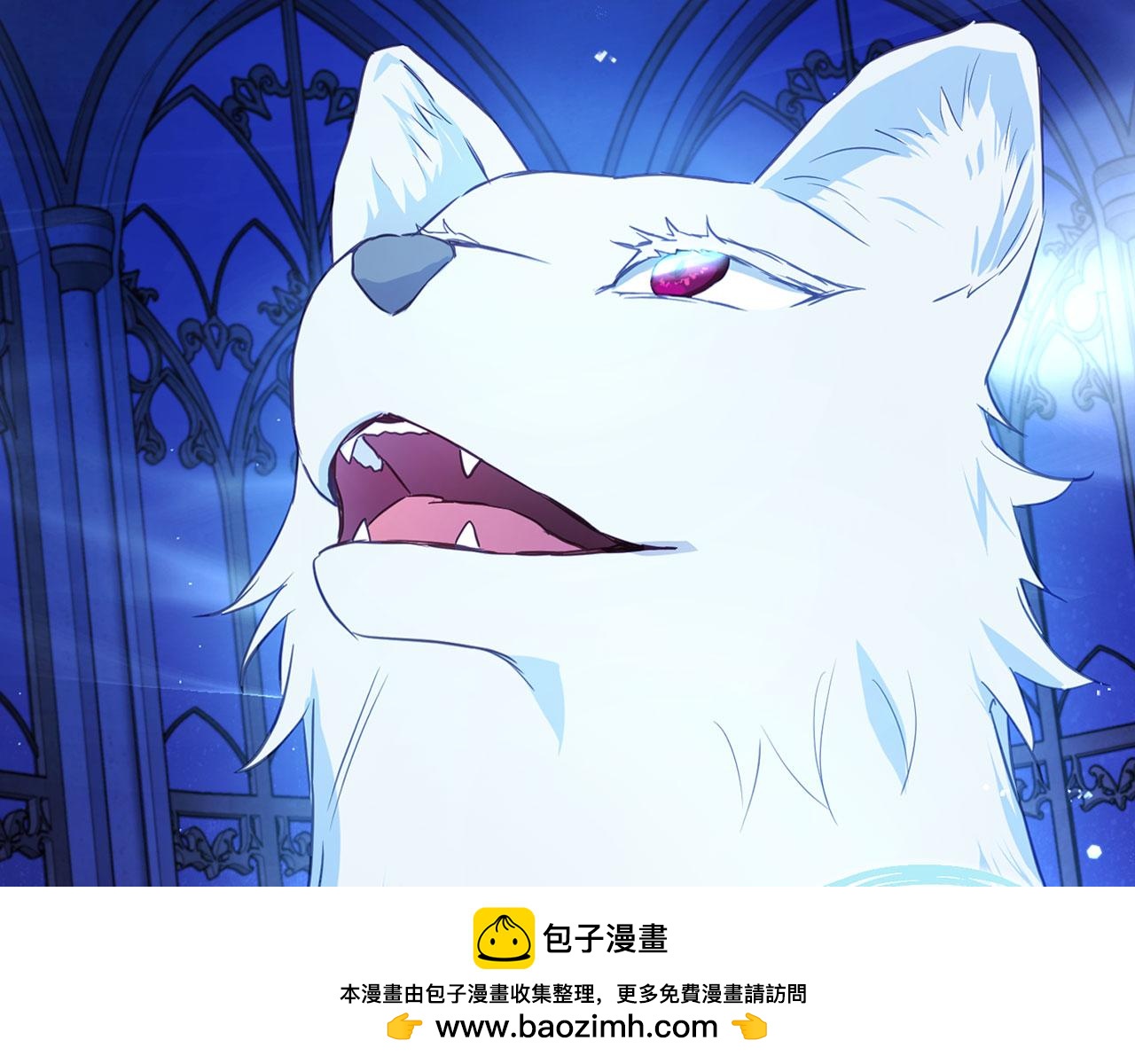 第 100 页