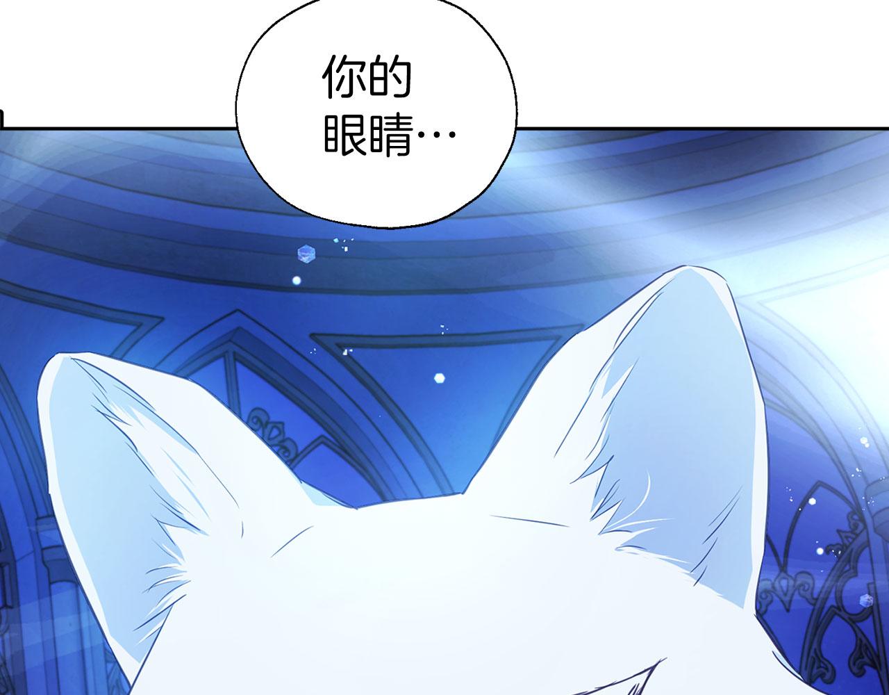 第 104 页