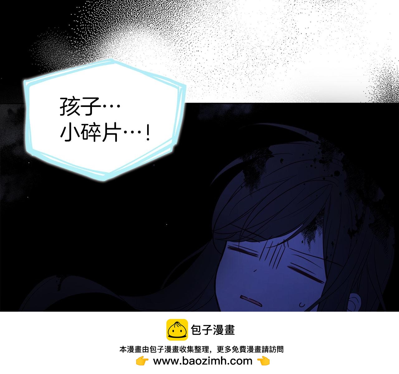 第 100 页