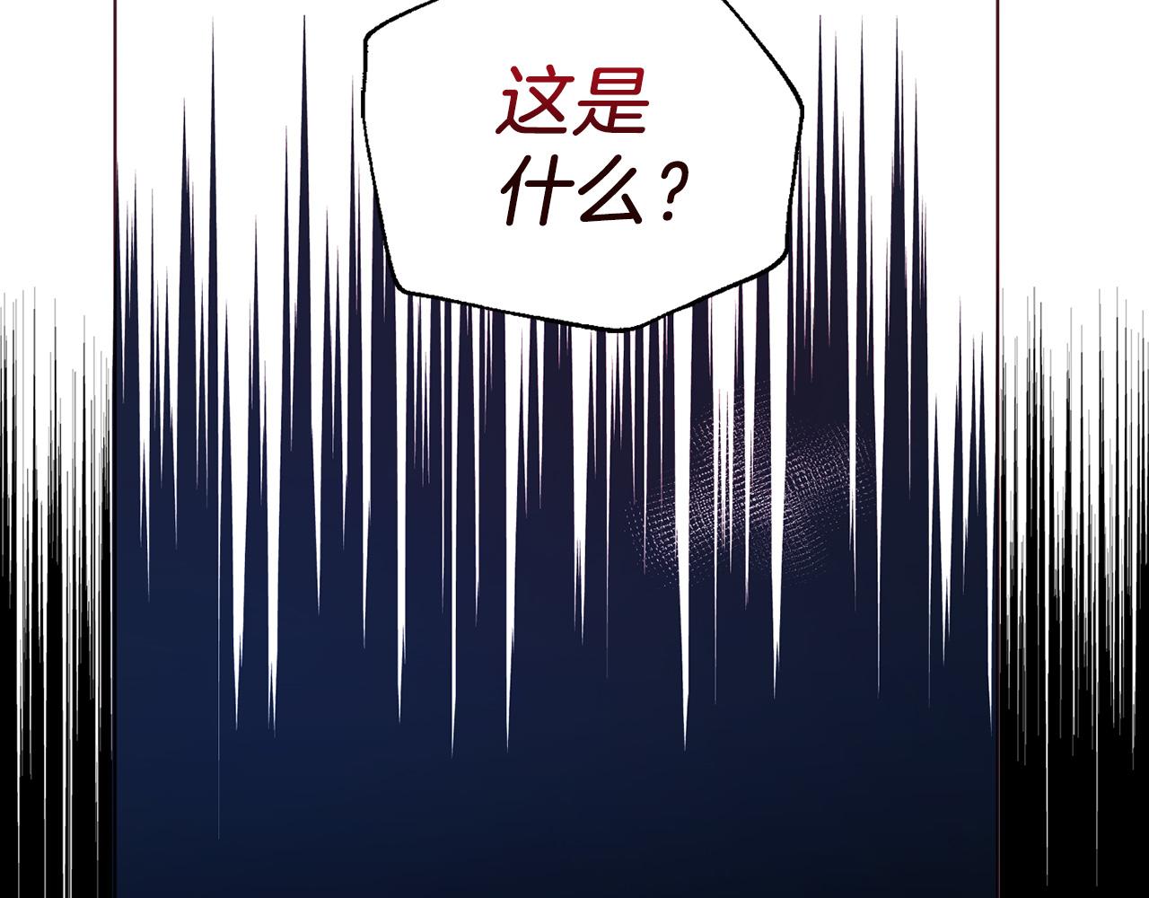 第 163 页
