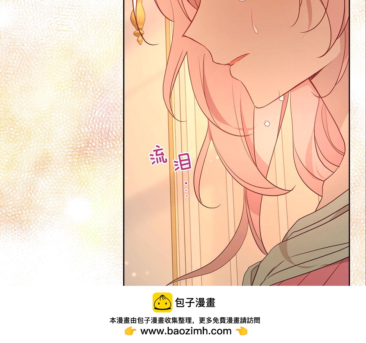 第 100 页