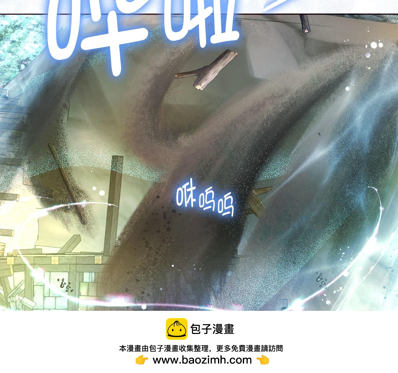 第 100 页