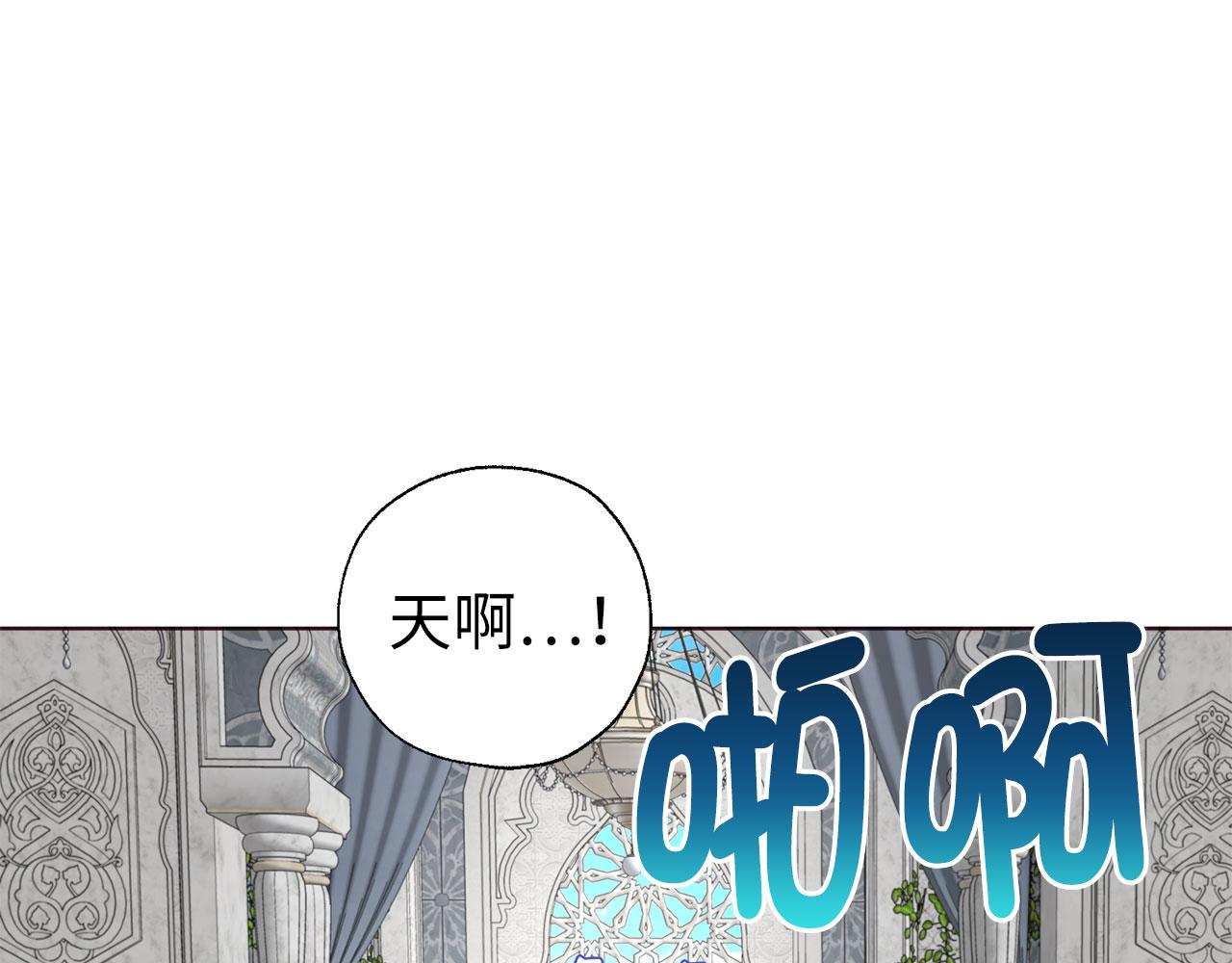 第 127 页