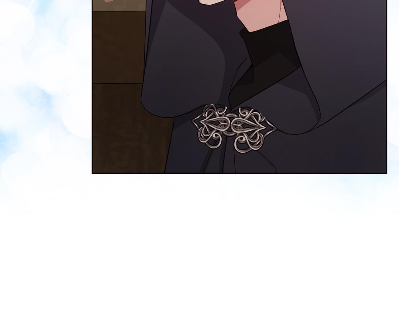 第 111 页