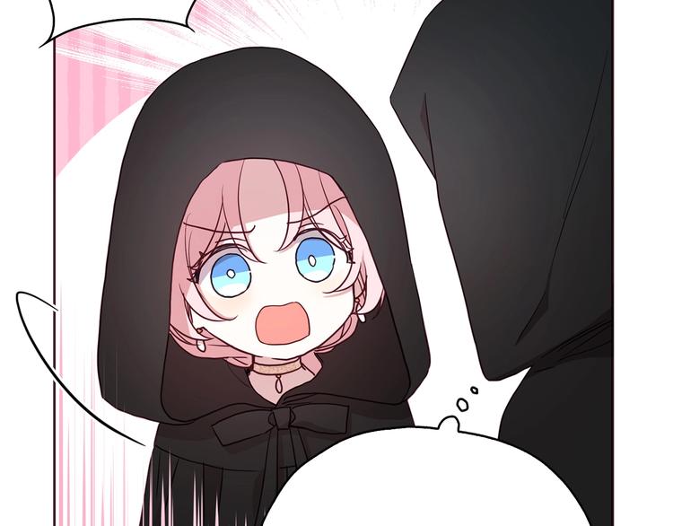 第 113 页
