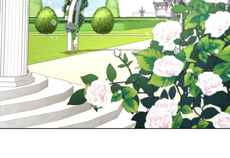 第 155 页