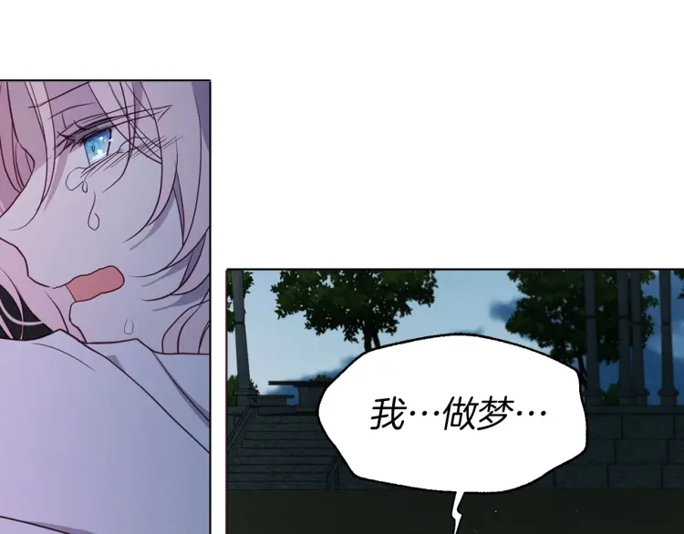 第 106 页