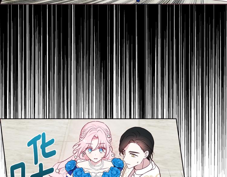 第 113 页