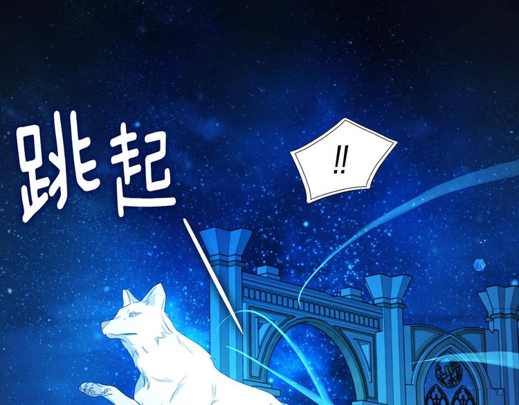 第 146 页