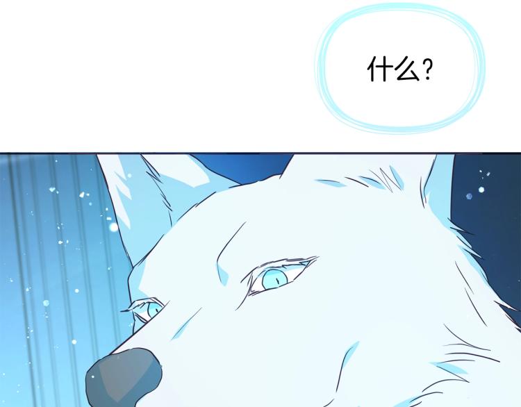 第 117 页