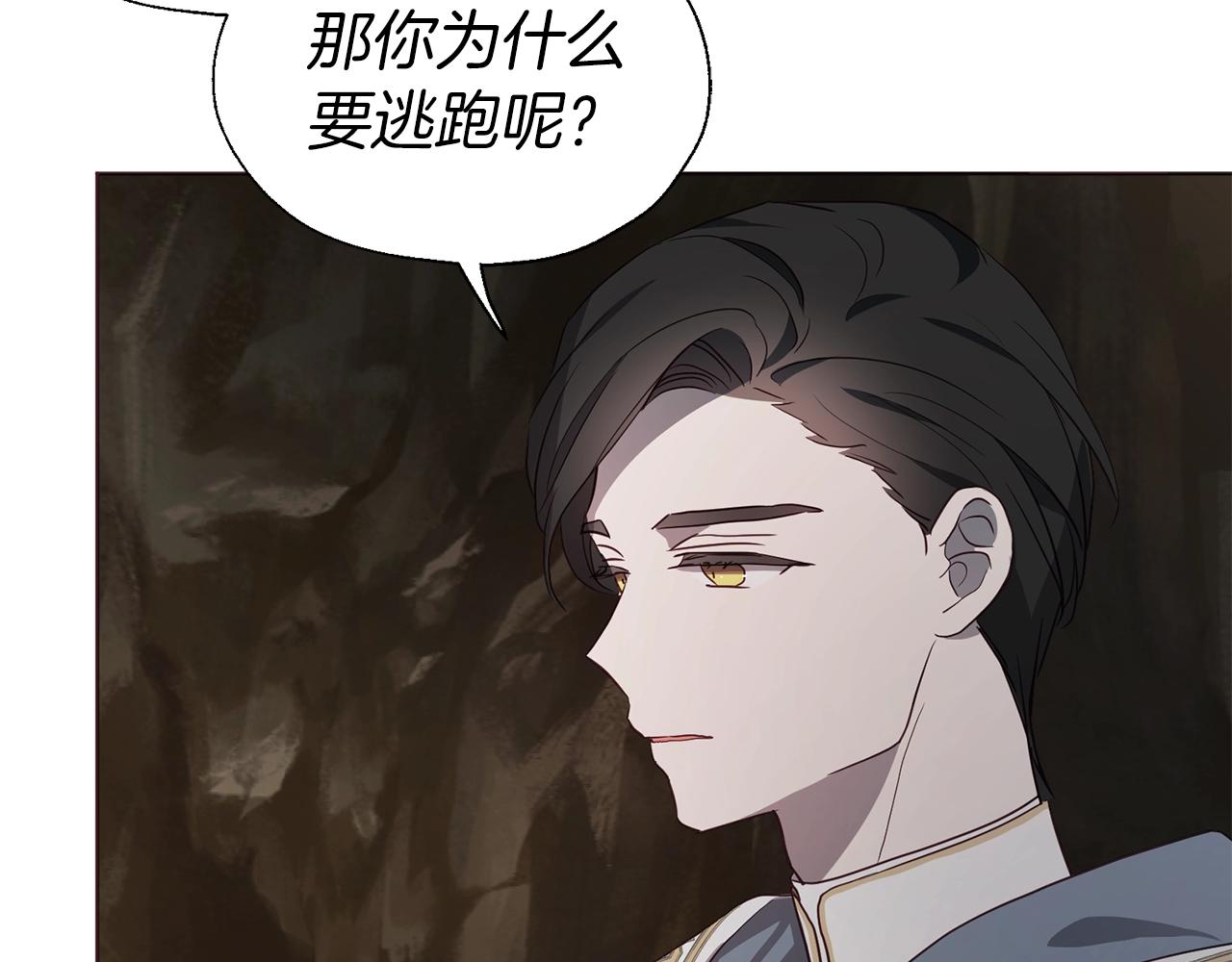 第 141 页