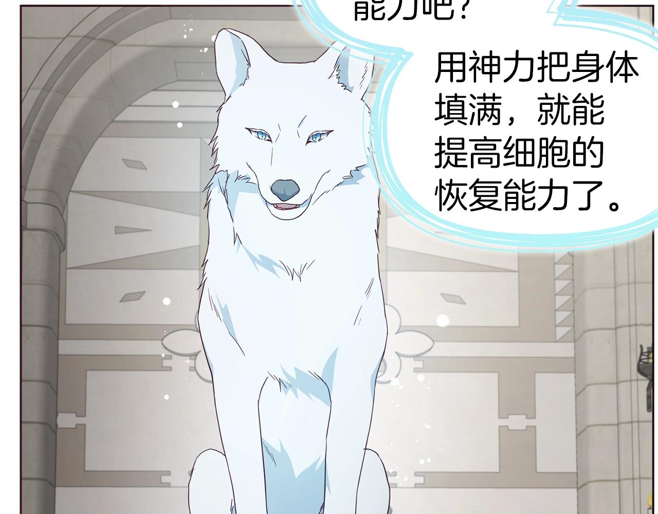 第 88 页