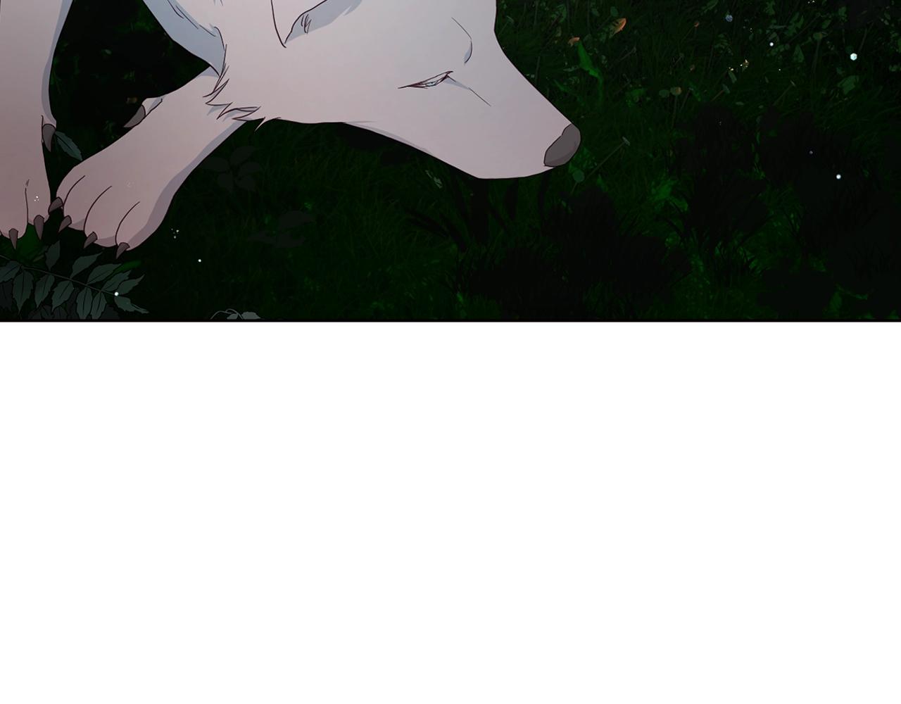 第 146 页