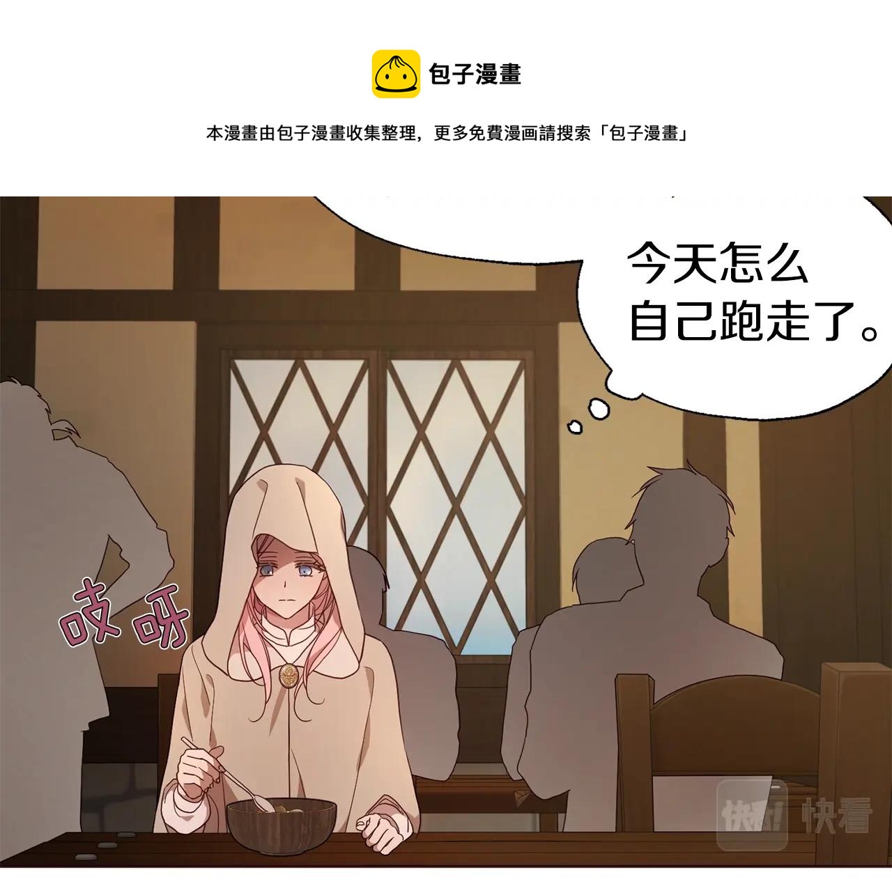 第 41 页