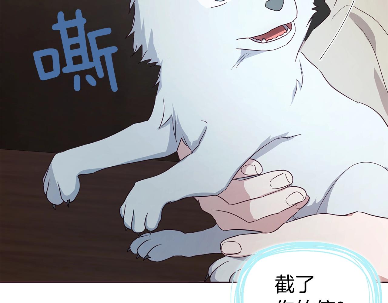 第 142 页