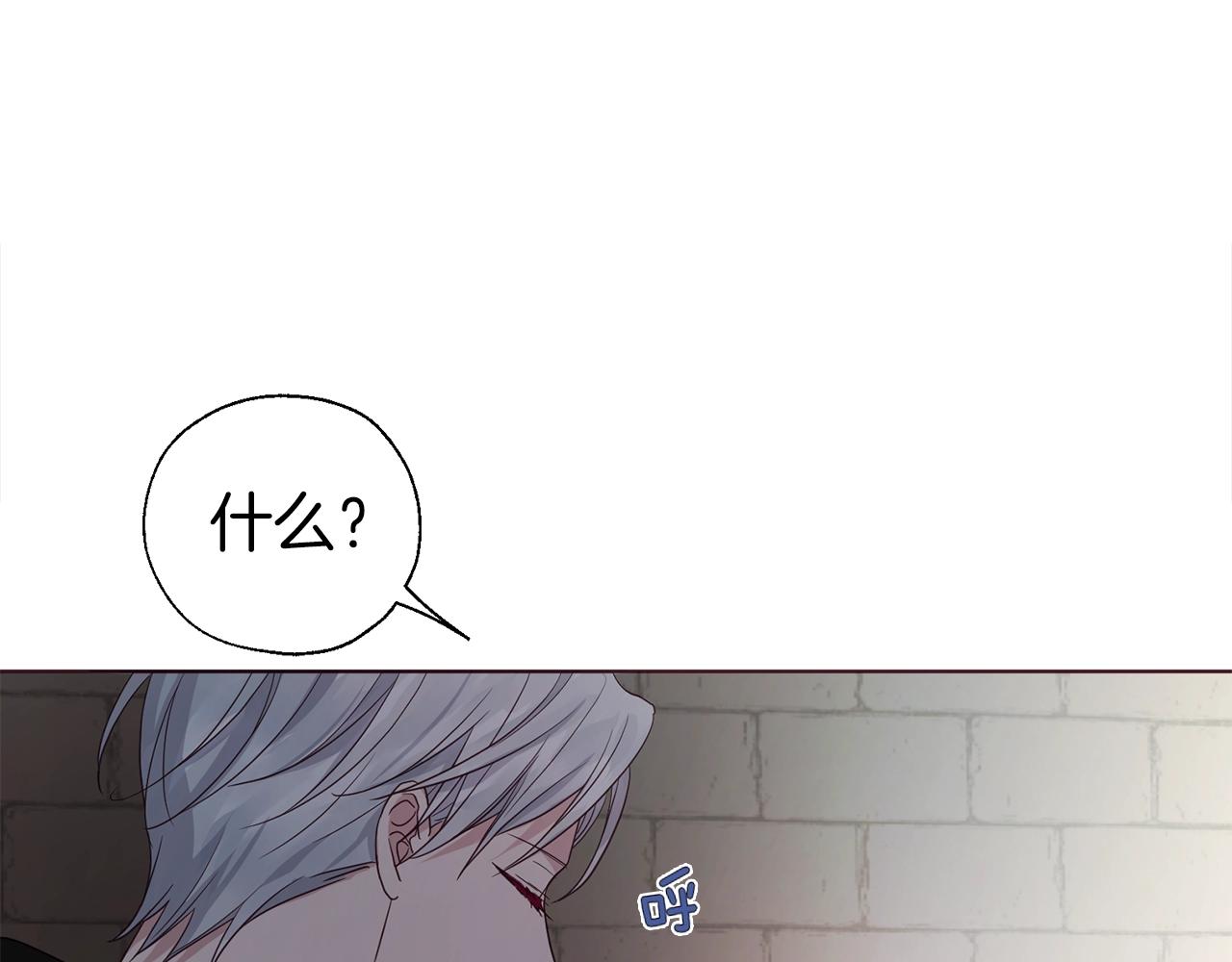 第 95 页