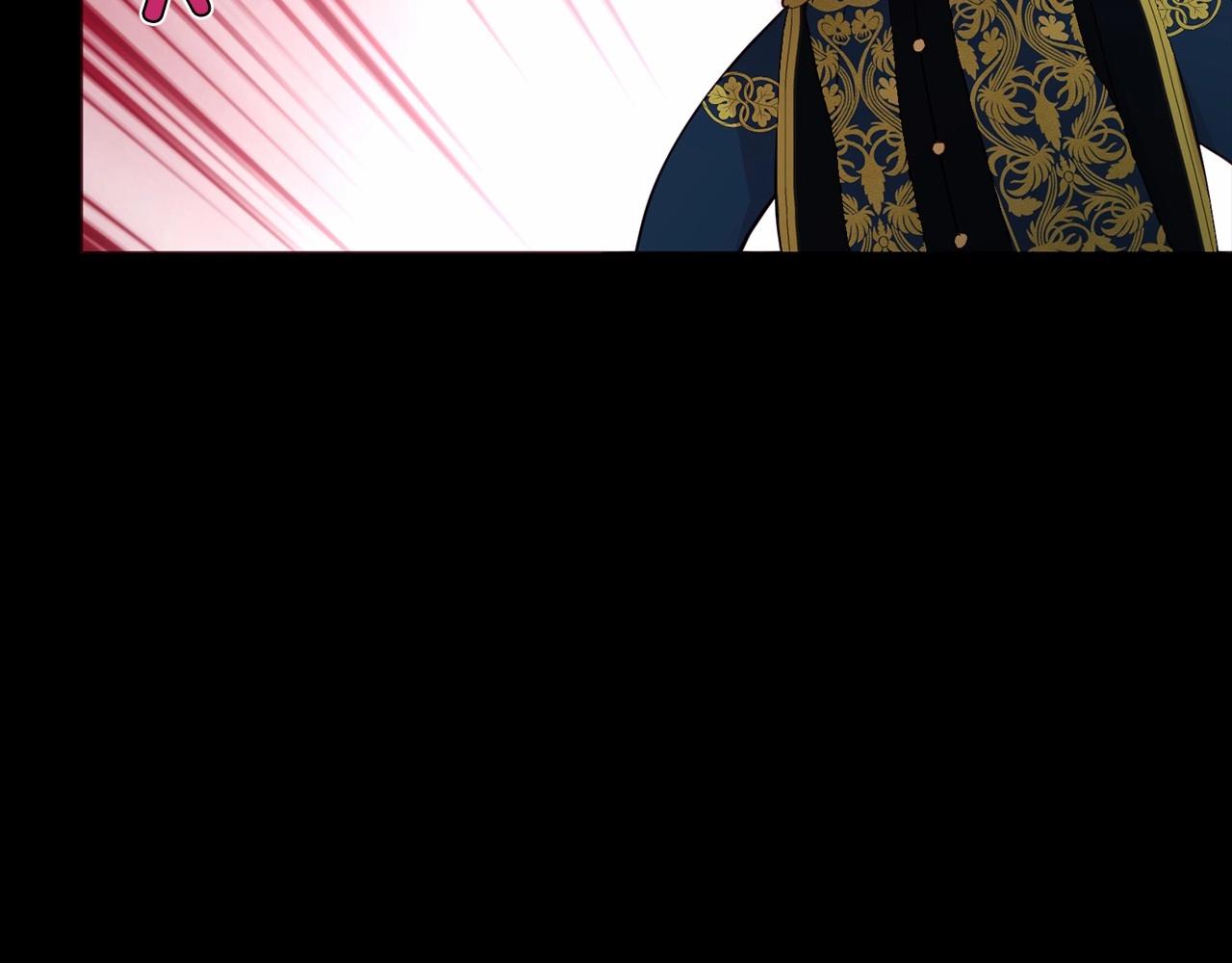 第 113 页