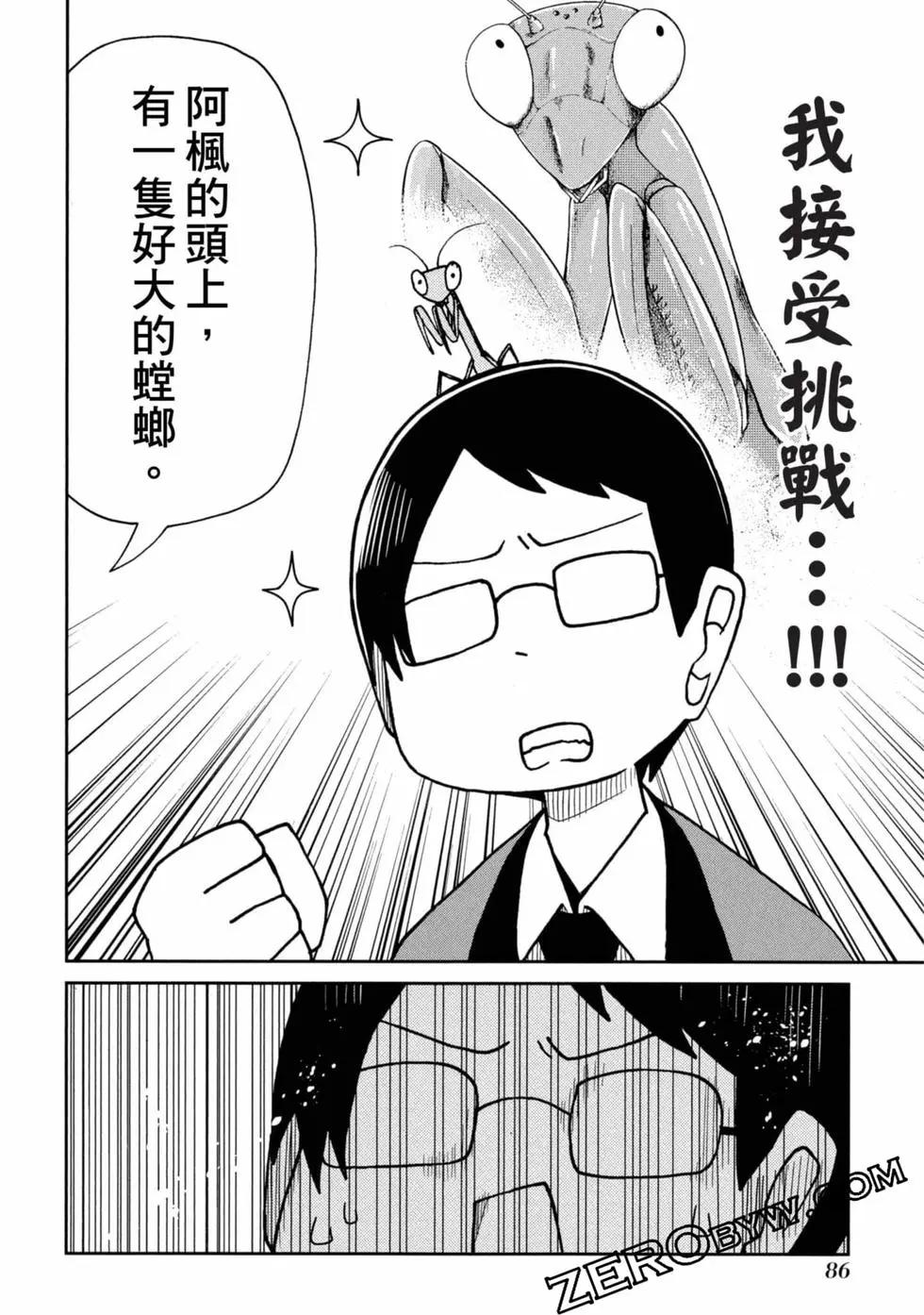 第 87 页