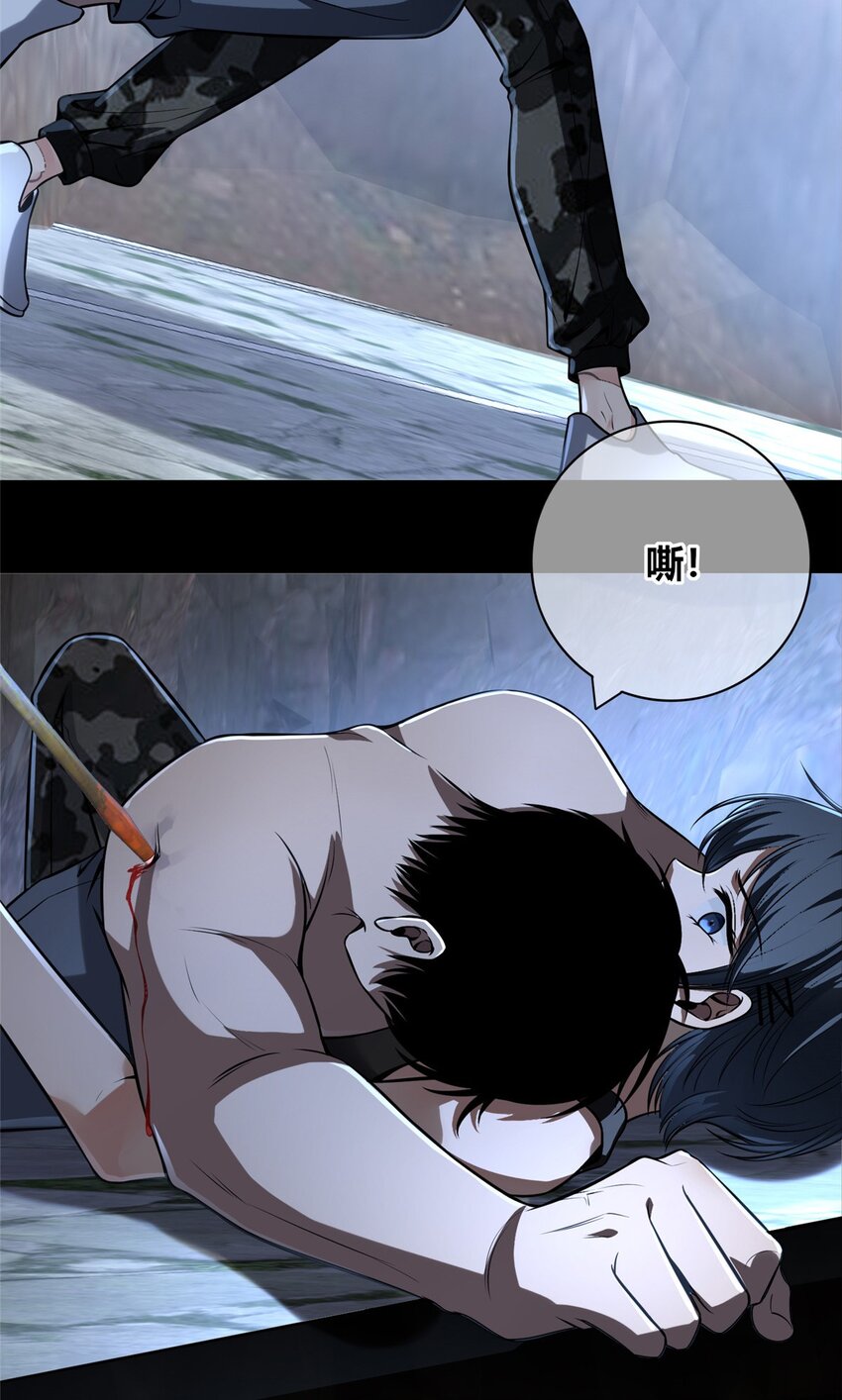 第 41 页