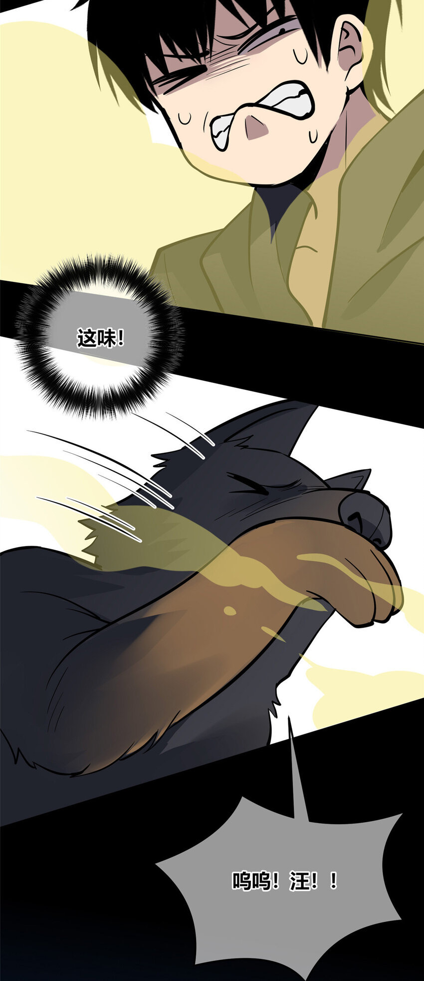 第 31 页