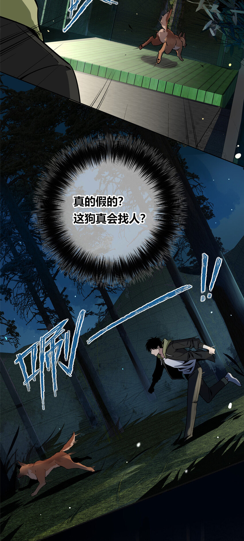 第 31 页