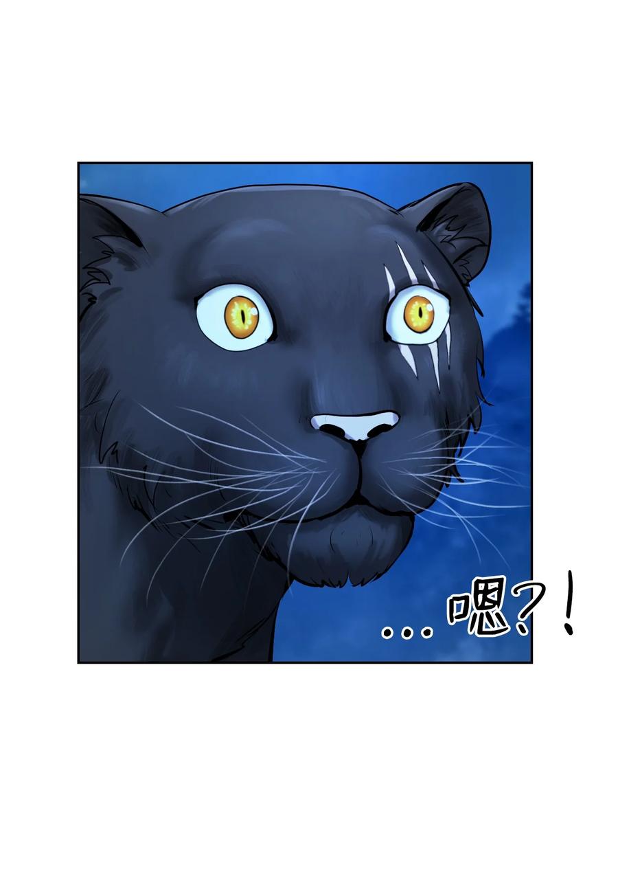 第 51 页