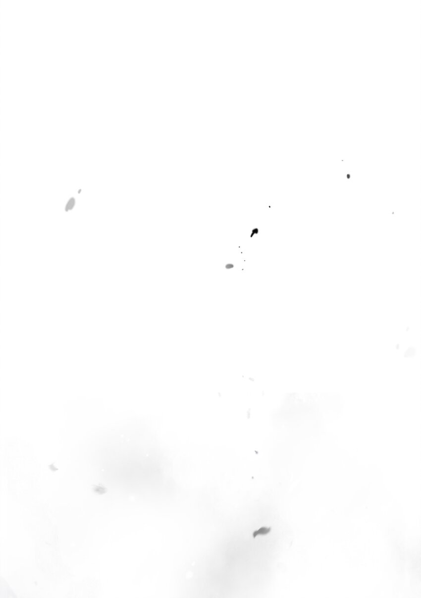 第 111 页