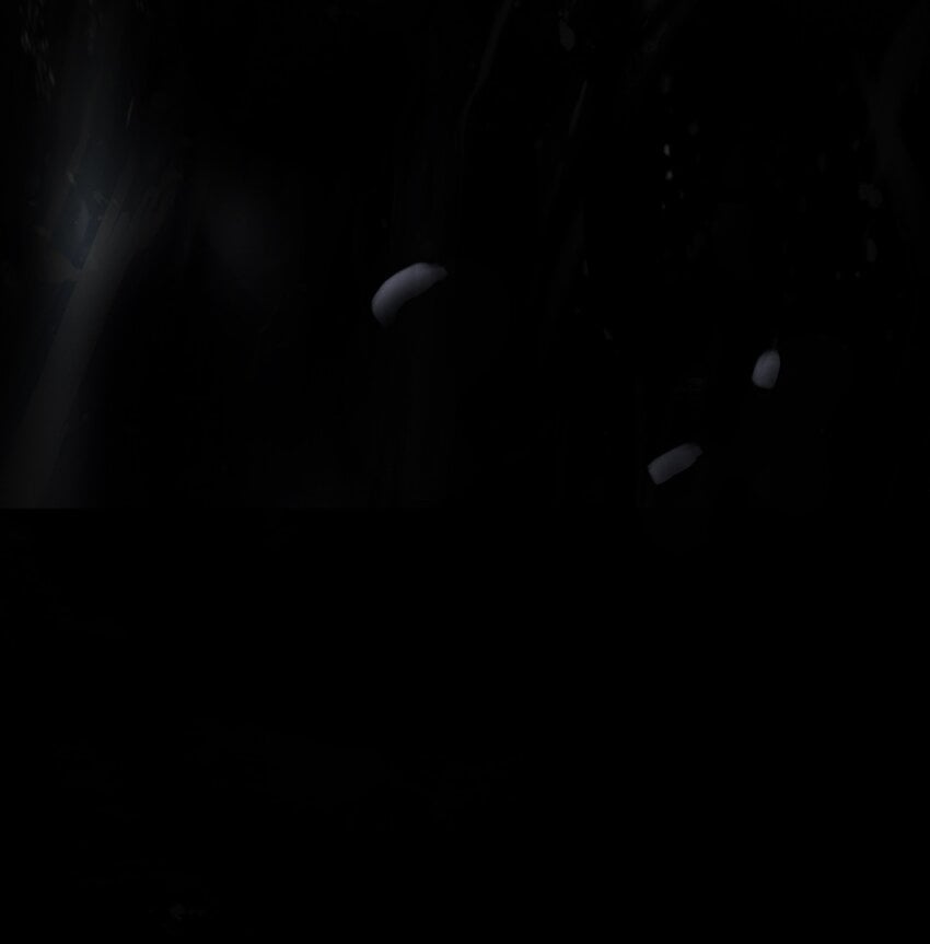 第 116 页