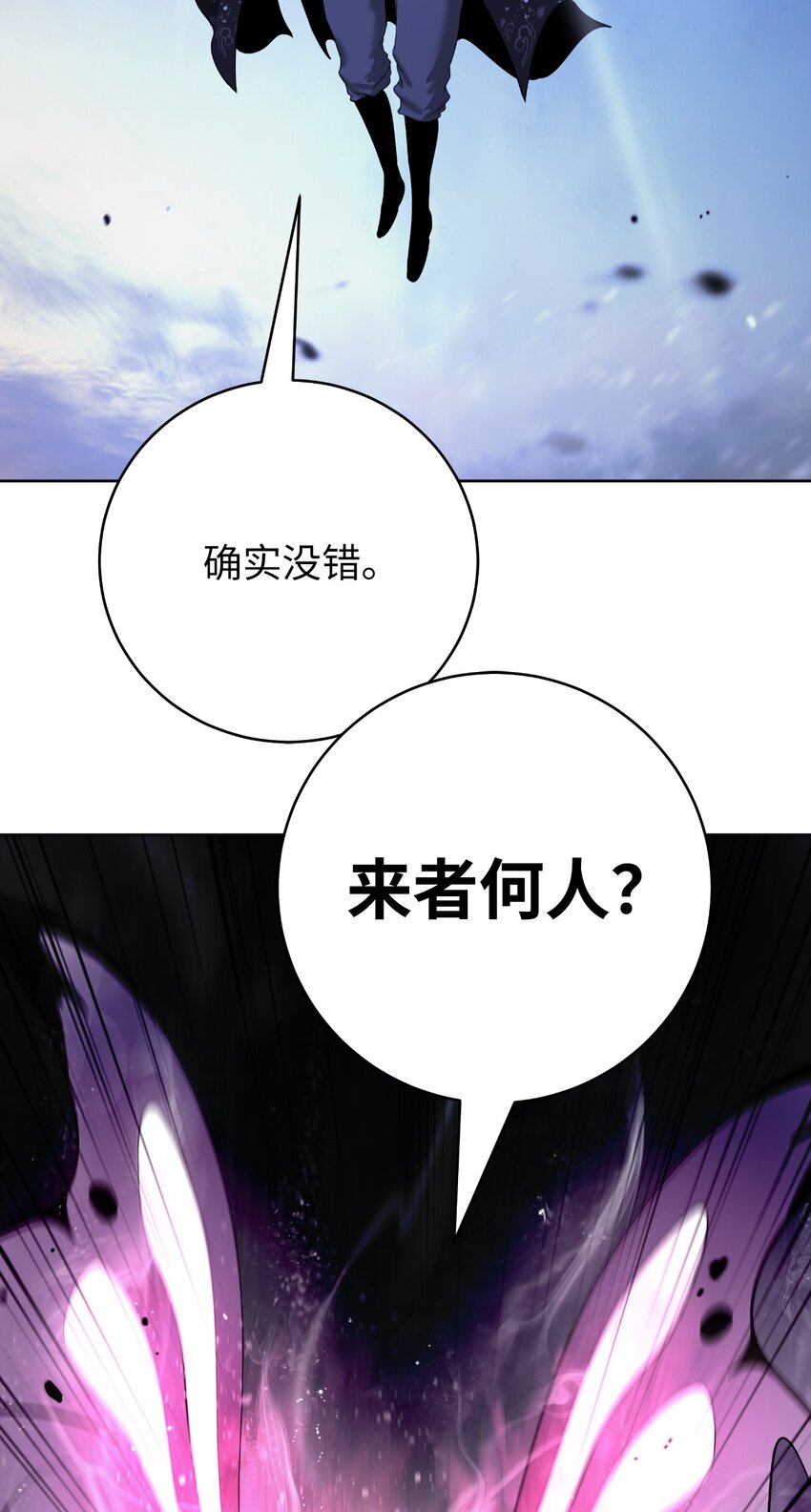 第 113 页