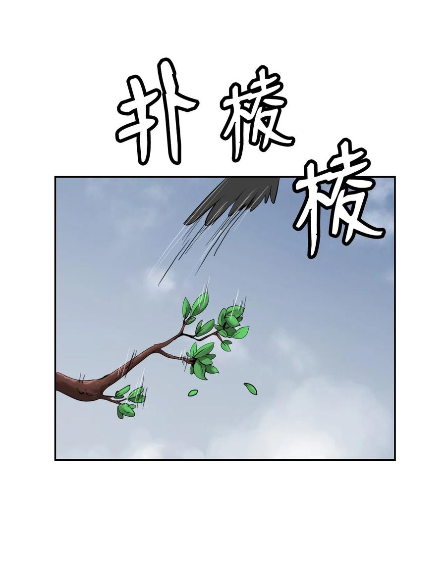 第 56 页