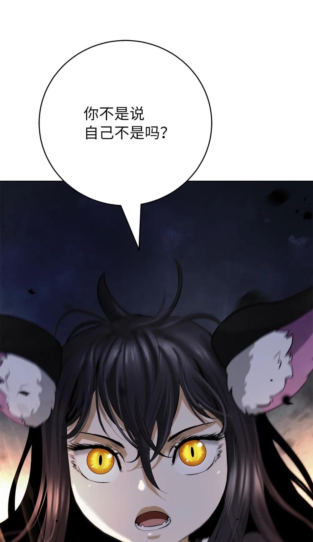 第 111 页