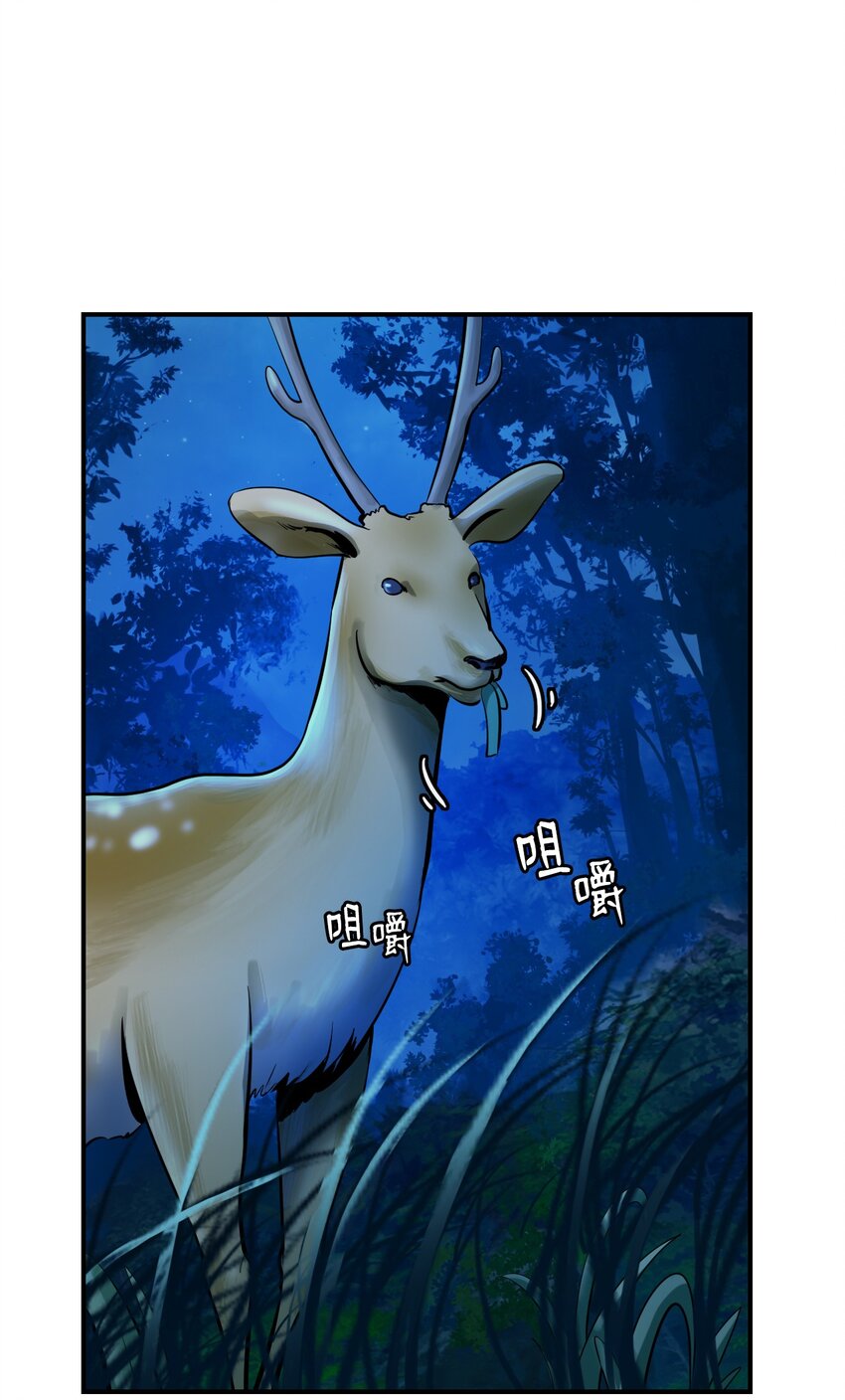 第 51 页