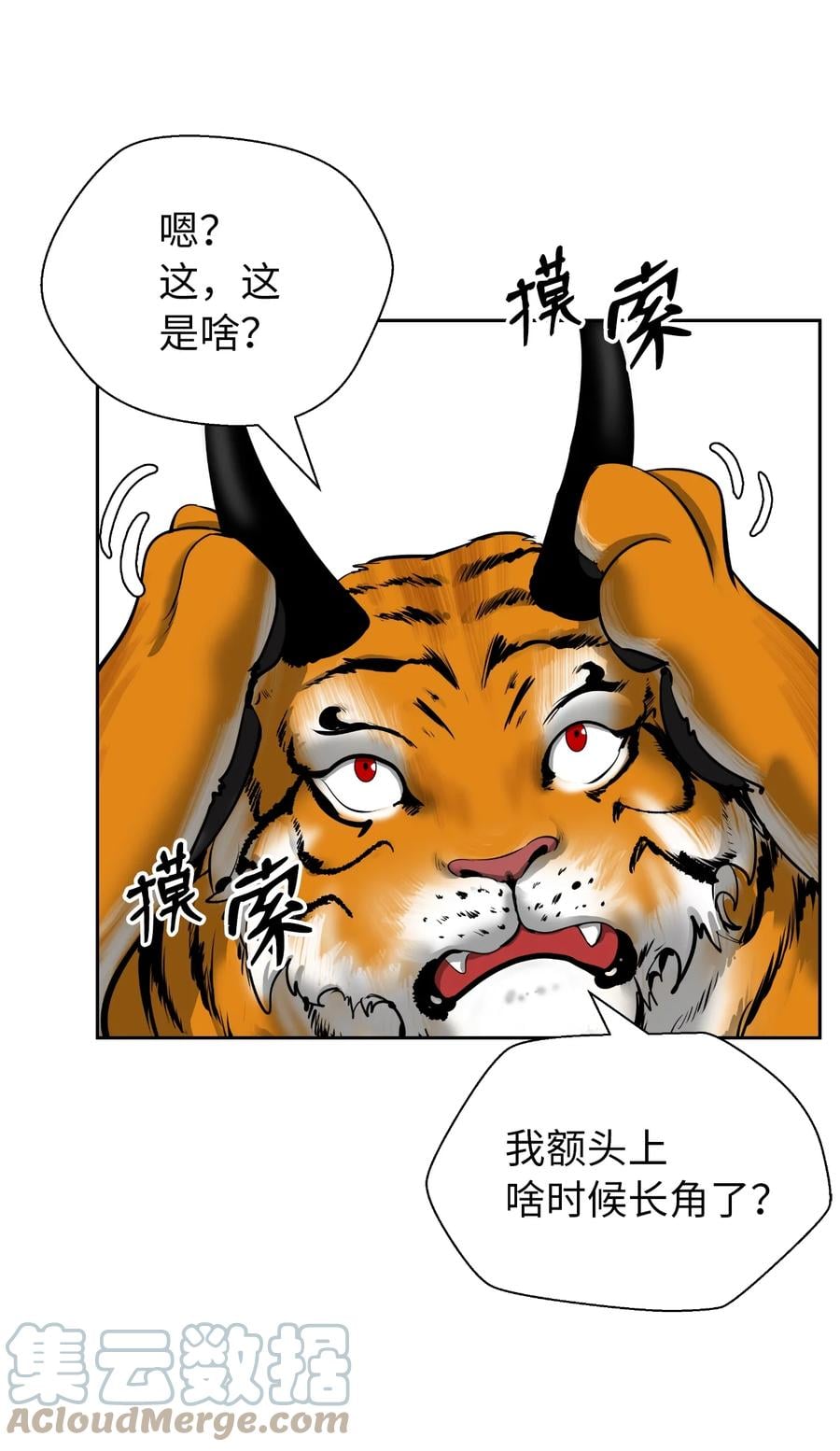 第 55 页