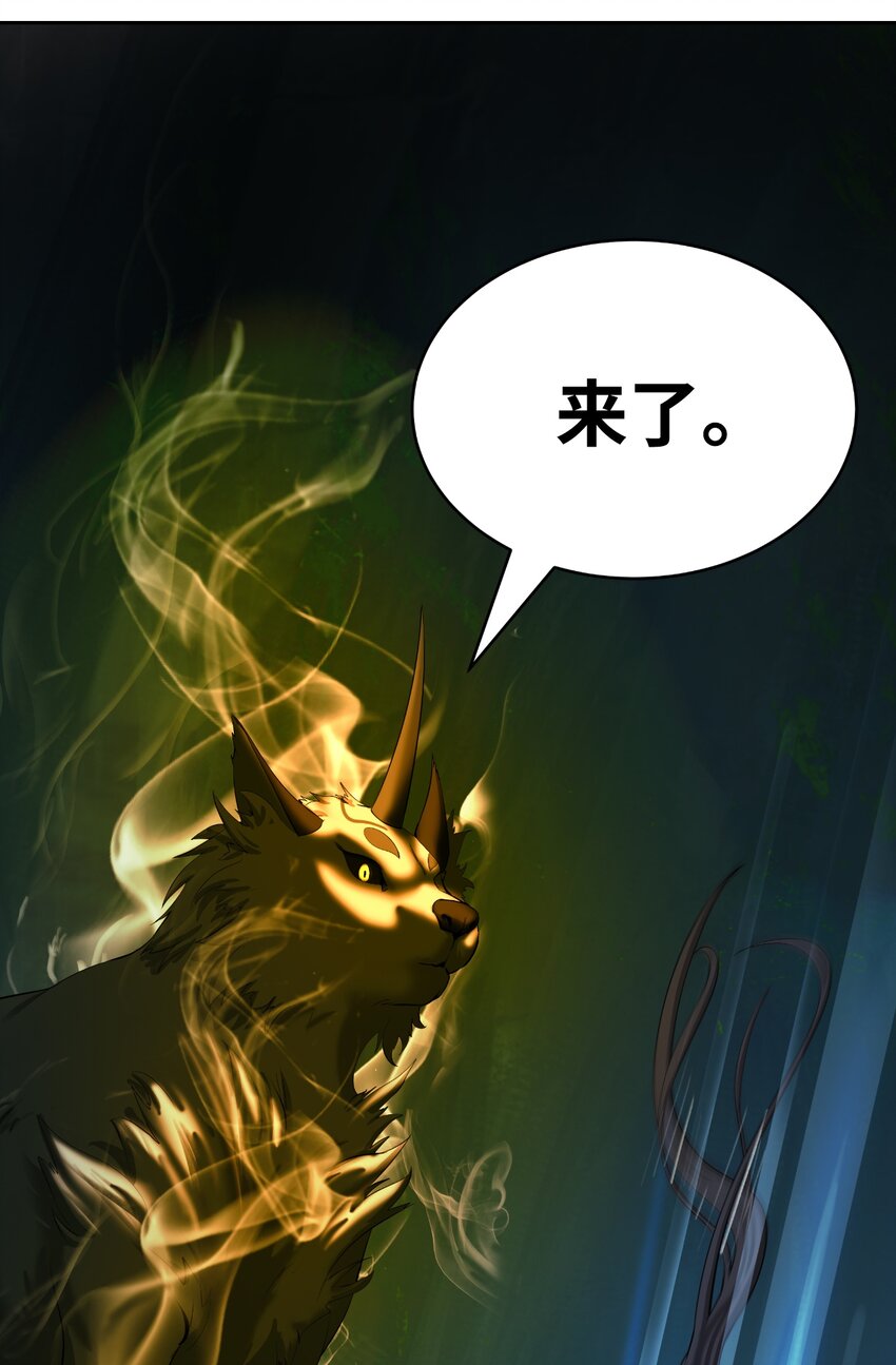 第 95 页