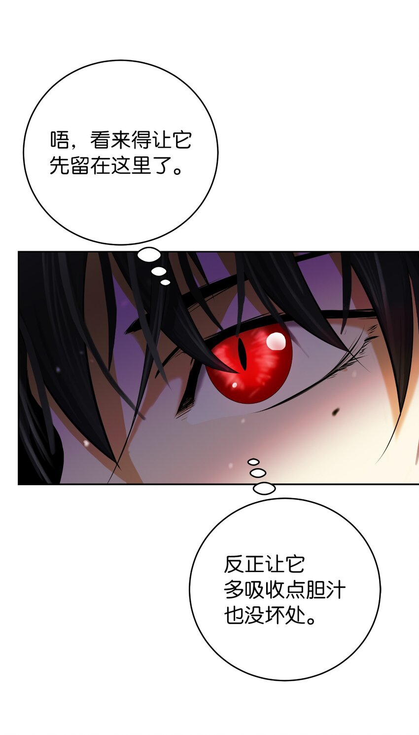 第 52 页