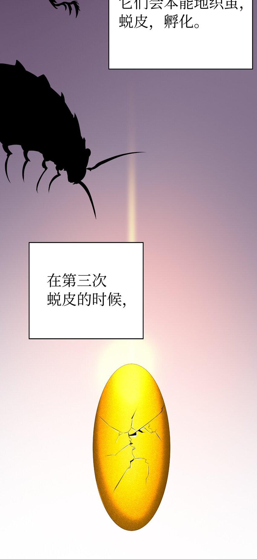 第 66 页
