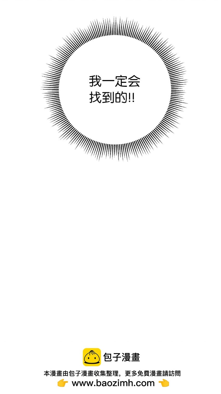 第 100 页