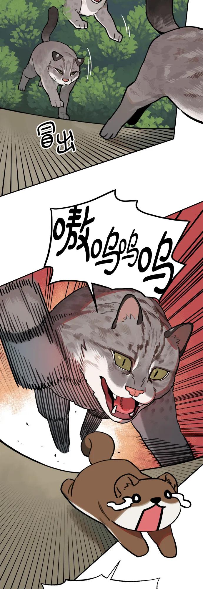 第 48 页