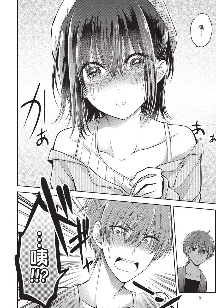 第 20 页